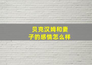 贝克汉姆和妻子的感情怎么样