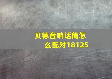 贝德音响话筒怎么配对18125