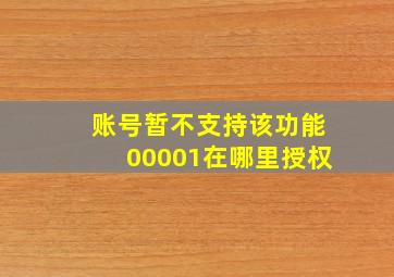 账号暂不支持该功能00001在哪里授权