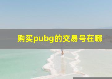 购买pubg的交易号在哪