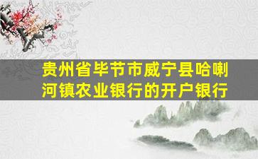 贵州省毕节市威宁县哈喇河镇农业银行的开户银行