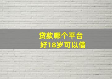 贷款哪个平台好18岁可以借