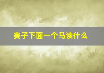 赛子下面一个马读什么