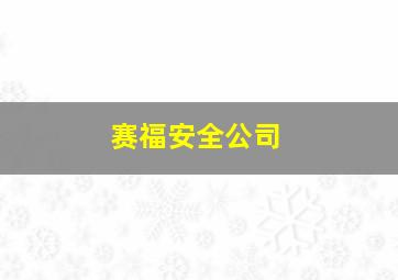 赛福安全公司