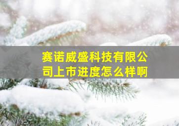 赛诺威盛科技有限公司上市进度怎么样啊