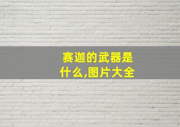 赛迦的武器是什么,图片大全