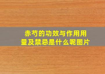 赤芍的功效与作用用量及禁忌是什么呢图片