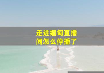 走进缅甸直播间怎么停播了