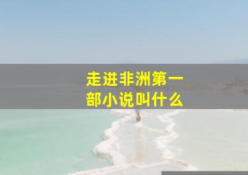 走进非洲第一部小说叫什么