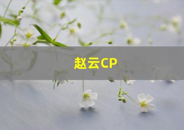 赵云CP