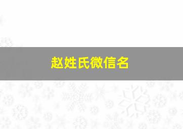 赵姓氏微信名