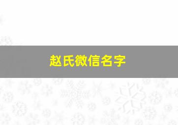 赵氏微信名字