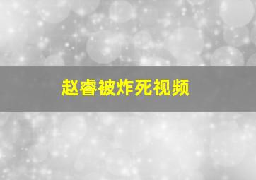 赵睿被炸死视频