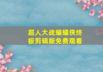 超人大战蝙蝠侠终极剪辑版免费观看