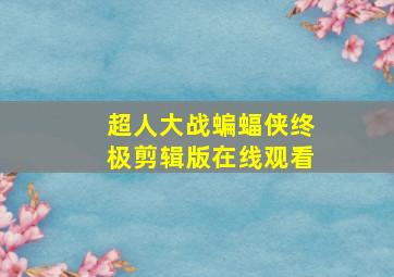 超人大战蝙蝠侠终极剪辑版在线观看