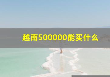 越南500000能买什么