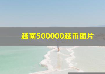 越南500000越币图片