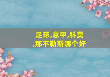 足球,意甲,科莫,那不勒斯哪个好