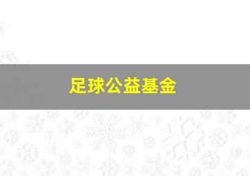 足球公益基金