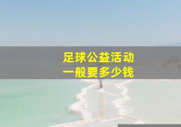 足球公益活动一般要多少钱