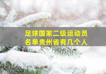 足球国家二级运动员名单贵州省有几个人