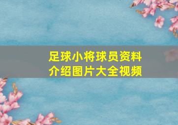 足球小将球员资料介绍图片大全视频