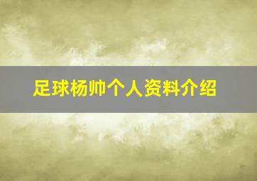 足球杨帅个人资料介绍