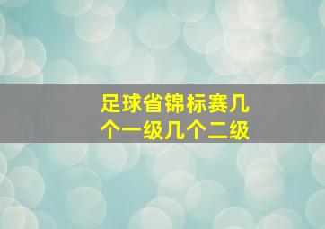 足球省锦标赛几个一级几个二级