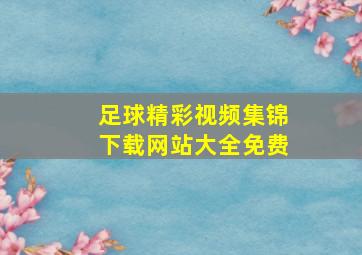 足球精彩视频集锦下载网站大全免费