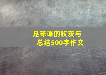 足球课的收获与总结500字作文