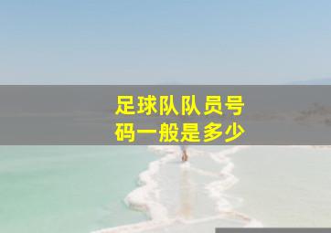 足球队队员号码一般是多少