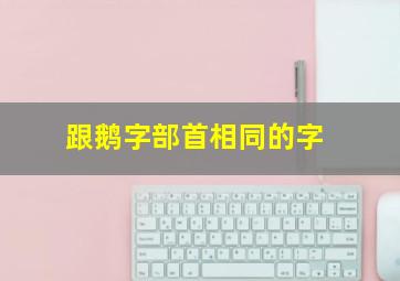 跟鹅字部首相同的字