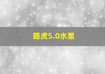 路虎5.0水泵