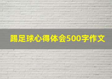 踢足球心得体会500字作文