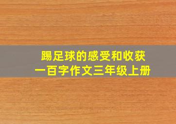 踢足球的感受和收获一百字作文三年级上册