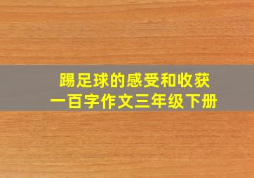 踢足球的感受和收获一百字作文三年级下册