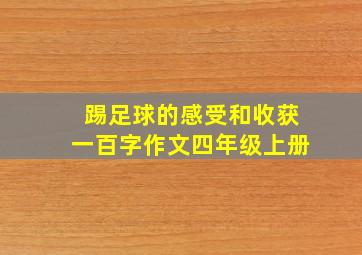 踢足球的感受和收获一百字作文四年级上册