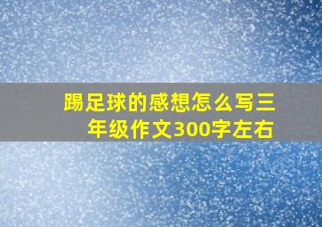 踢足球的感想怎么写三年级作文300字左右