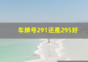 车牌号291还是295好