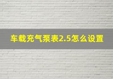 车载充气泵表2.5怎么设置