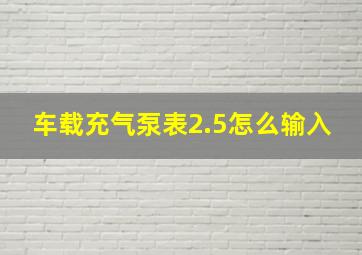 车载充气泵表2.5怎么输入