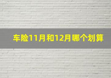 车险11月和12月哪个划算