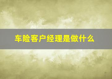 车险客户经理是做什么