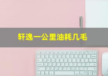 轩逸一公里油耗几毛