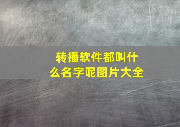 转播软件都叫什么名字呢图片大全