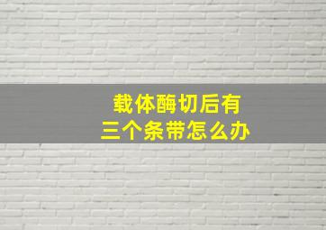 载体酶切后有三个条带怎么办