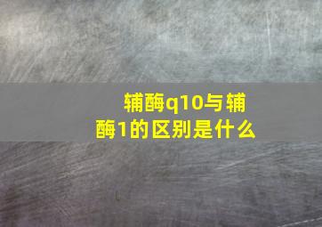 辅酶q10与辅酶1的区别是什么