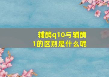 辅酶q10与辅酶1的区别是什么呢