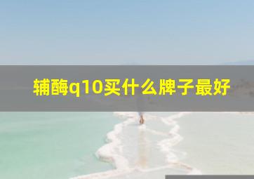 辅酶q10买什么牌子最好