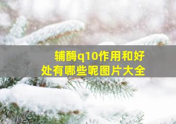 辅酶q10作用和好处有哪些呢图片大全